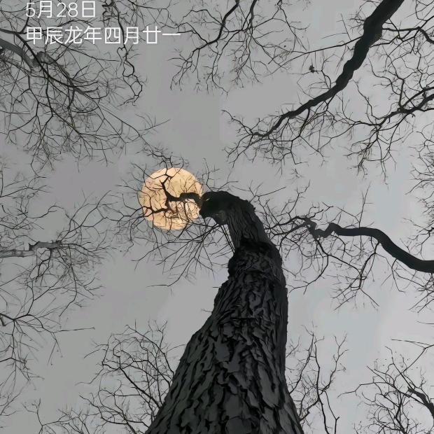 哈喽，啊！
