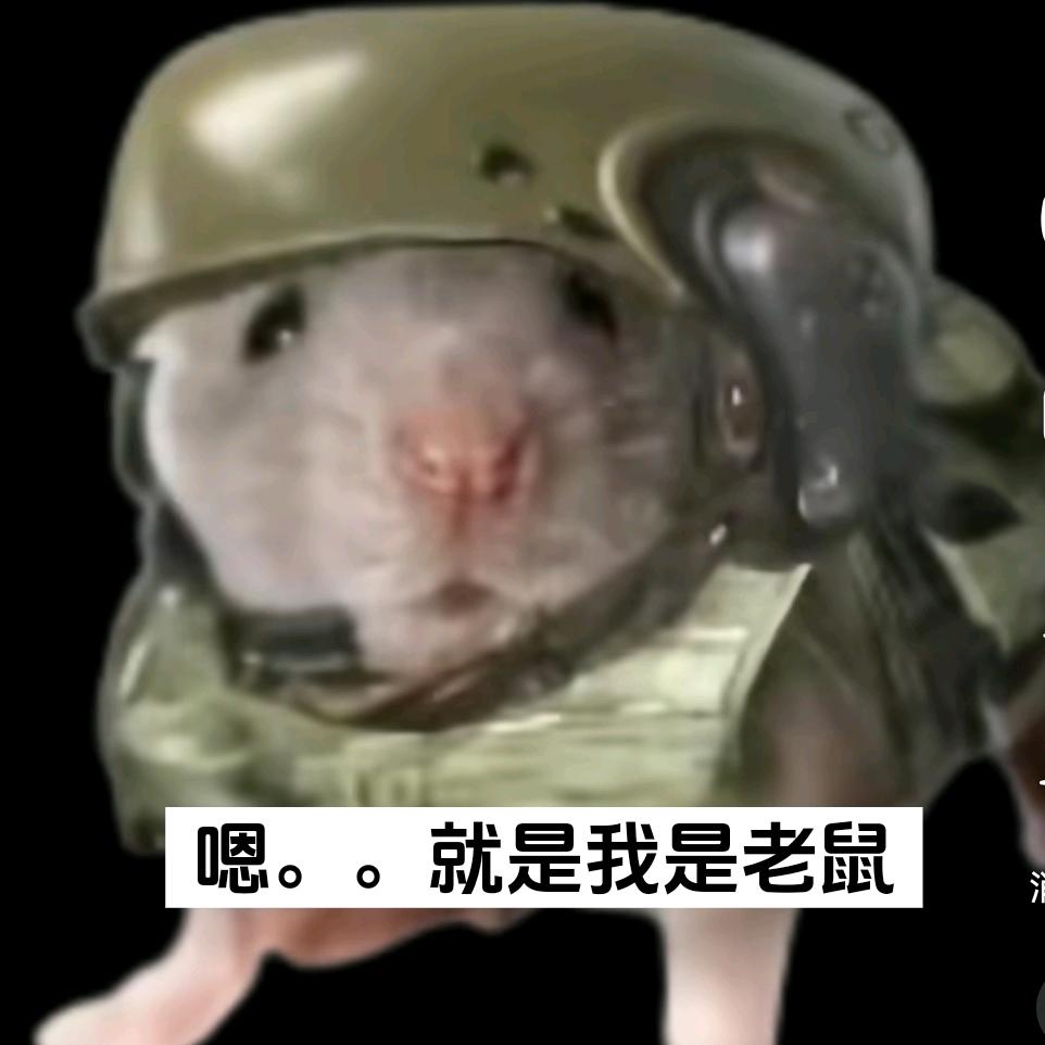 鼠鸡