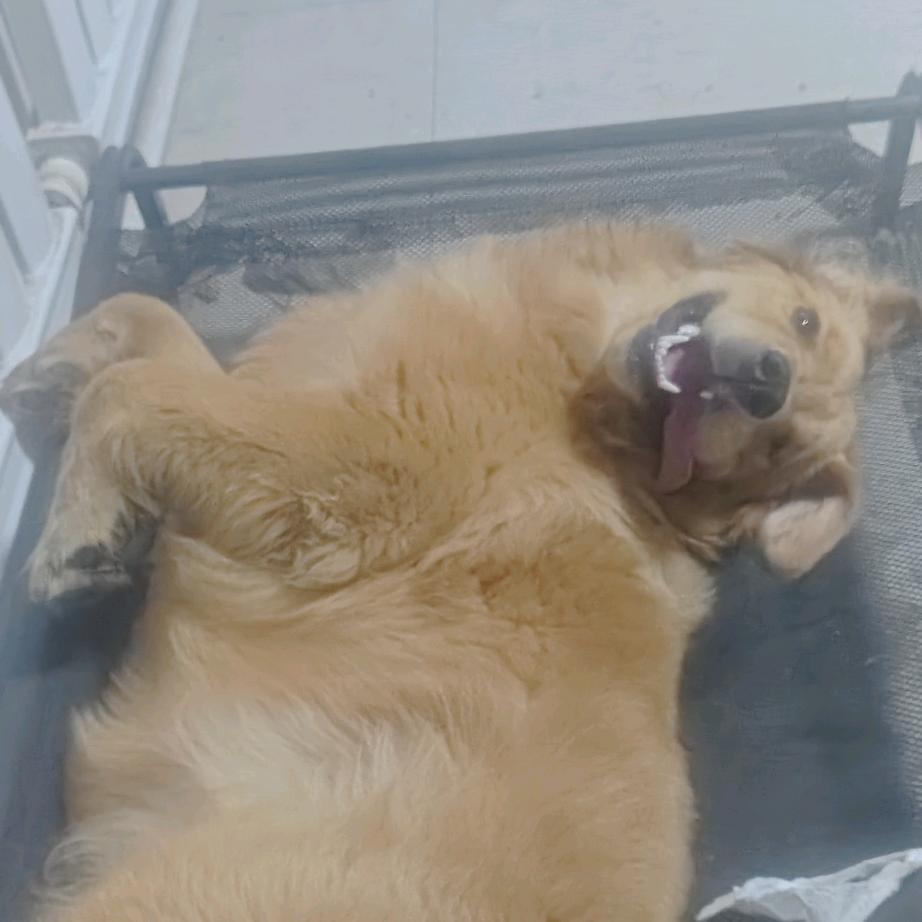 阿司匹林丶