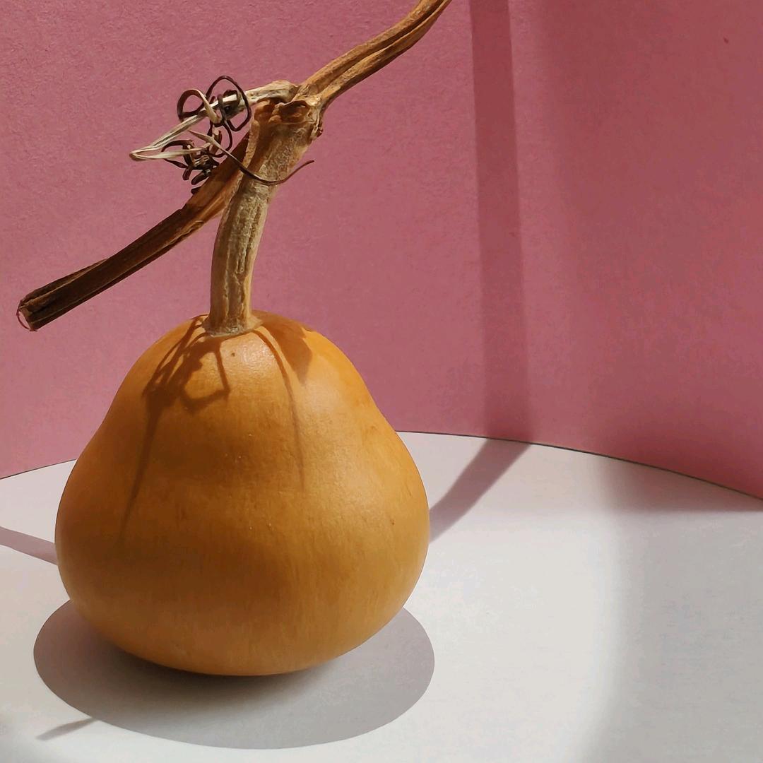 辉耀工艺葫芦精品小铺