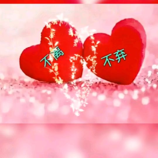 薄荷❤凉