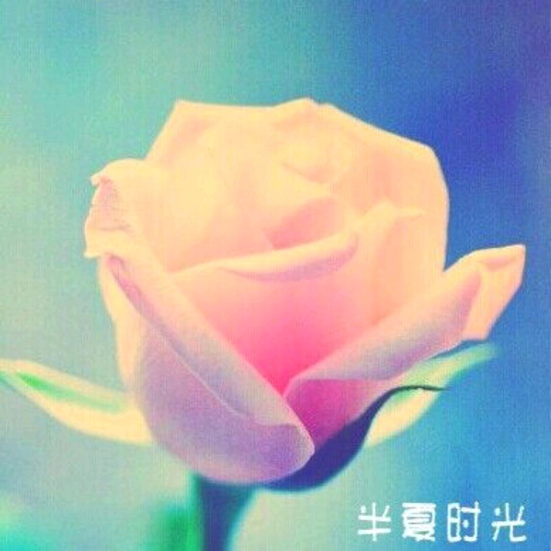 💋 _ 半夏时光 ＂🐟