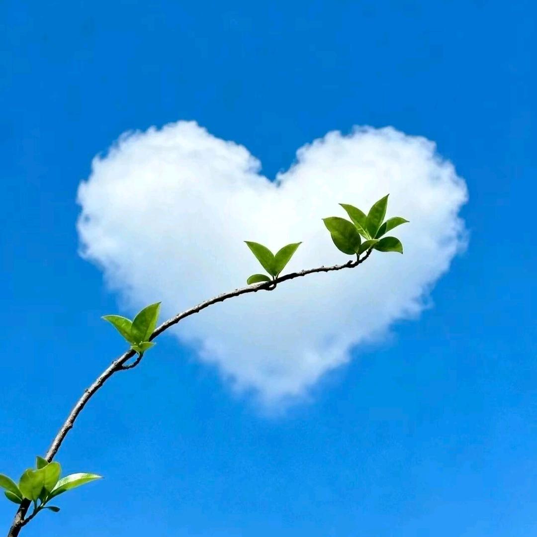 ℋღ᭄亿心向钱᭄💞