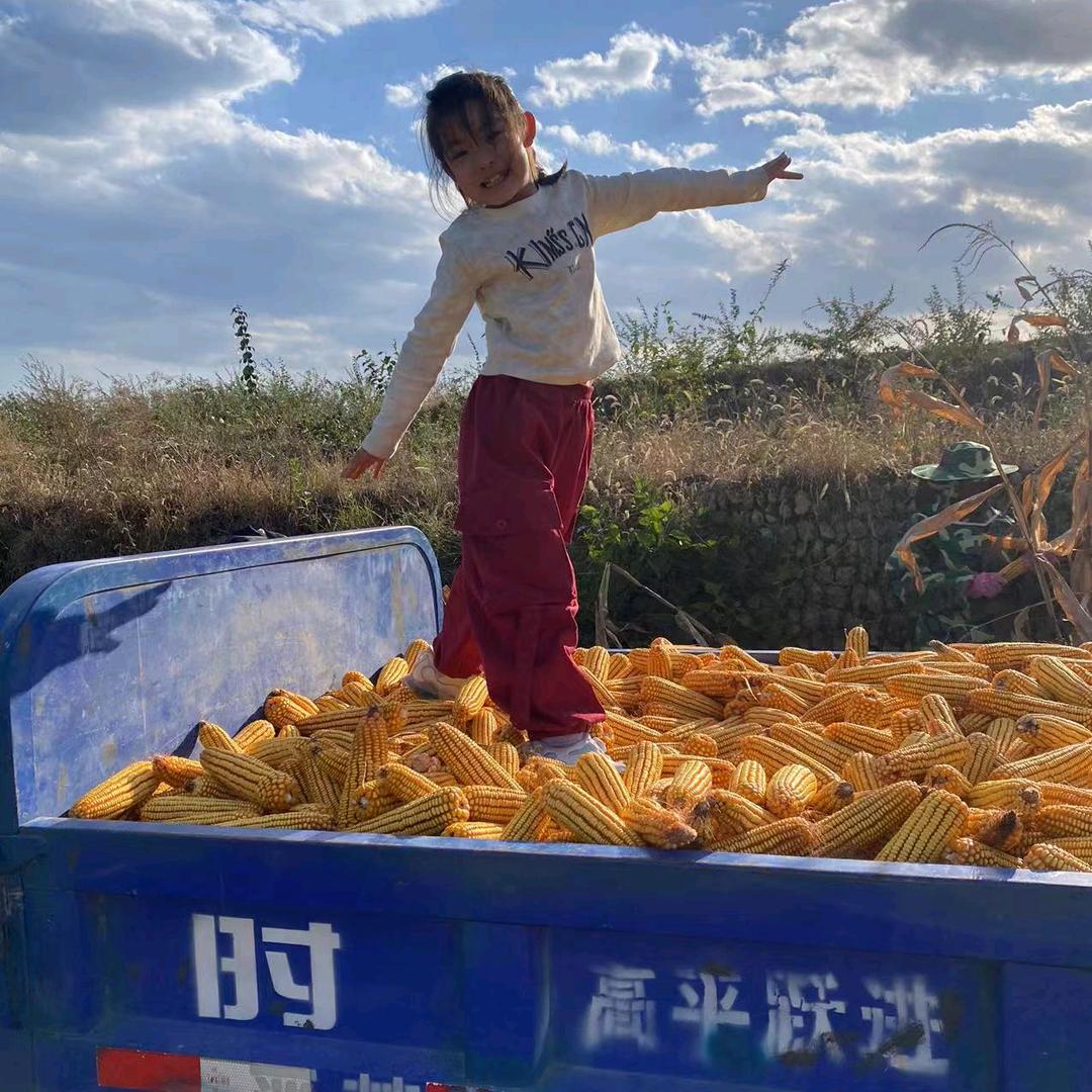 农家人秋天的快乐！