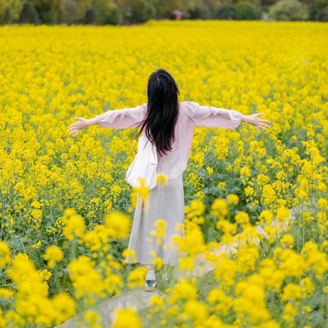 小雨菁