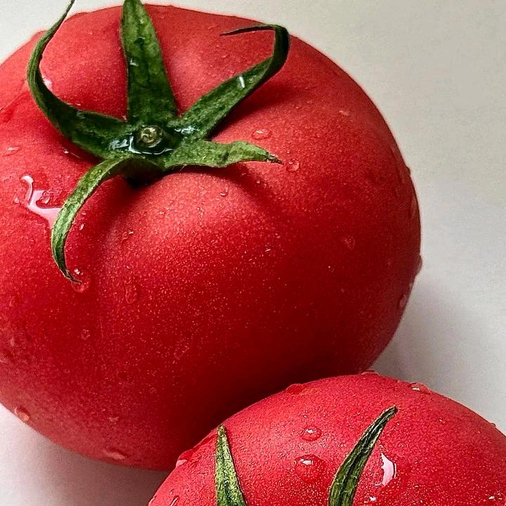 小李太太的惜蜜鲜花店🌷
