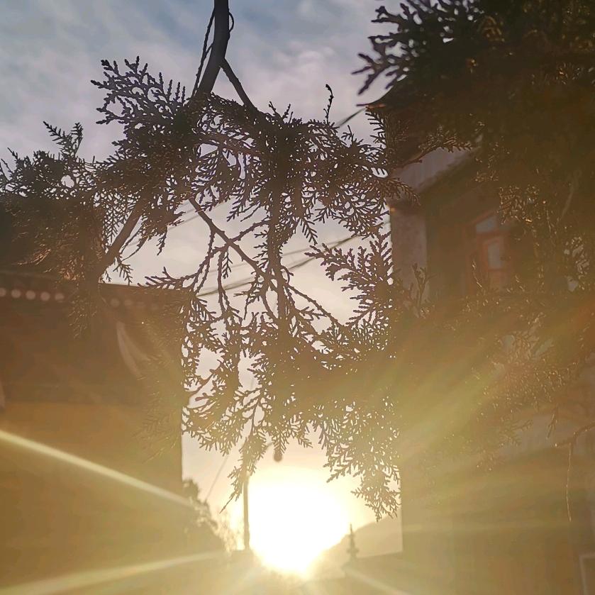 🌴M_Lmlgmd🌴