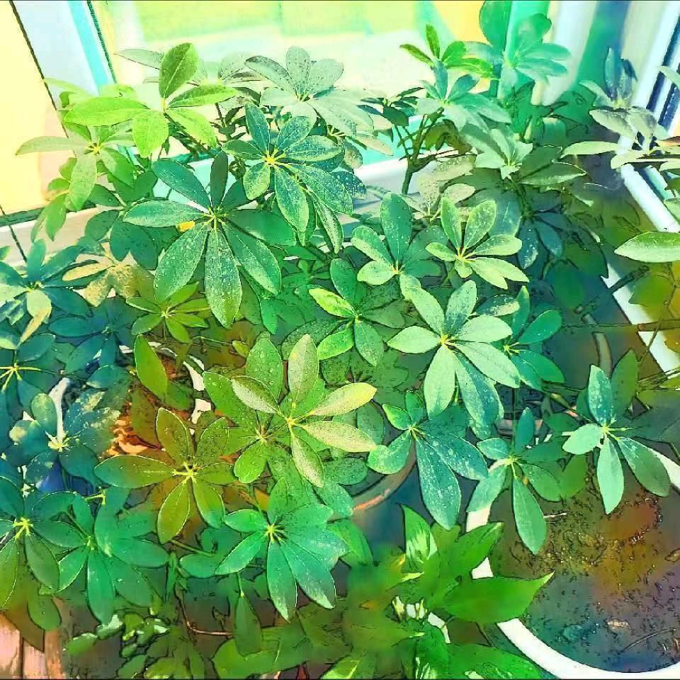 加油😊