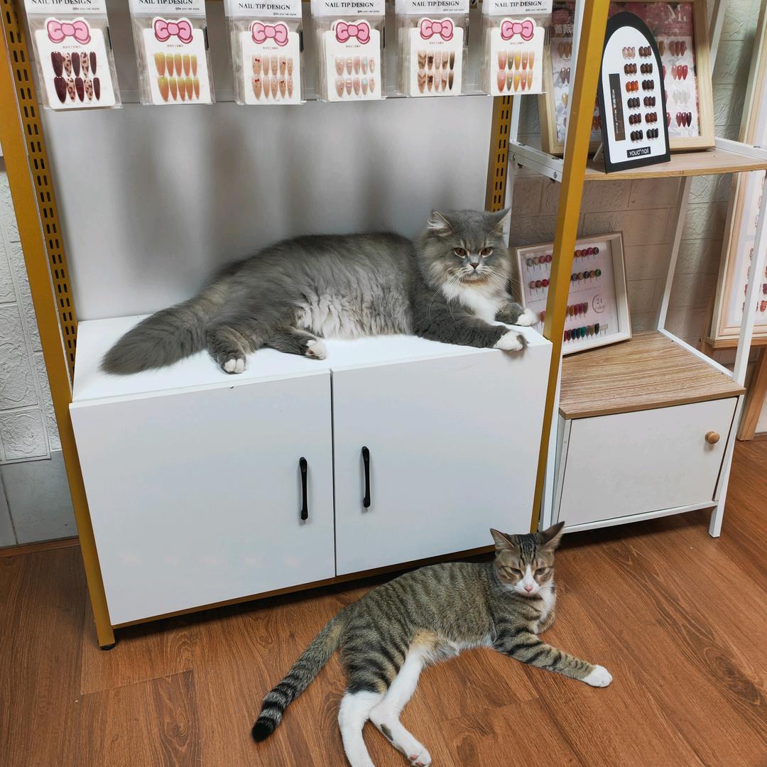 芊妤😘😘😘😘😘