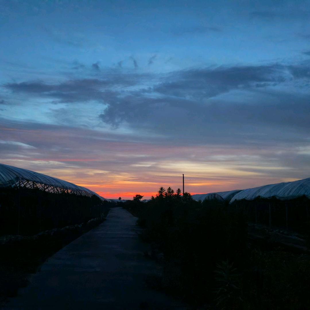 天涯何处觅知音