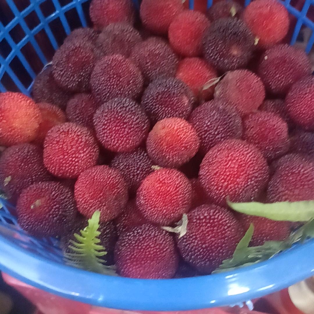 单身吗，小廖