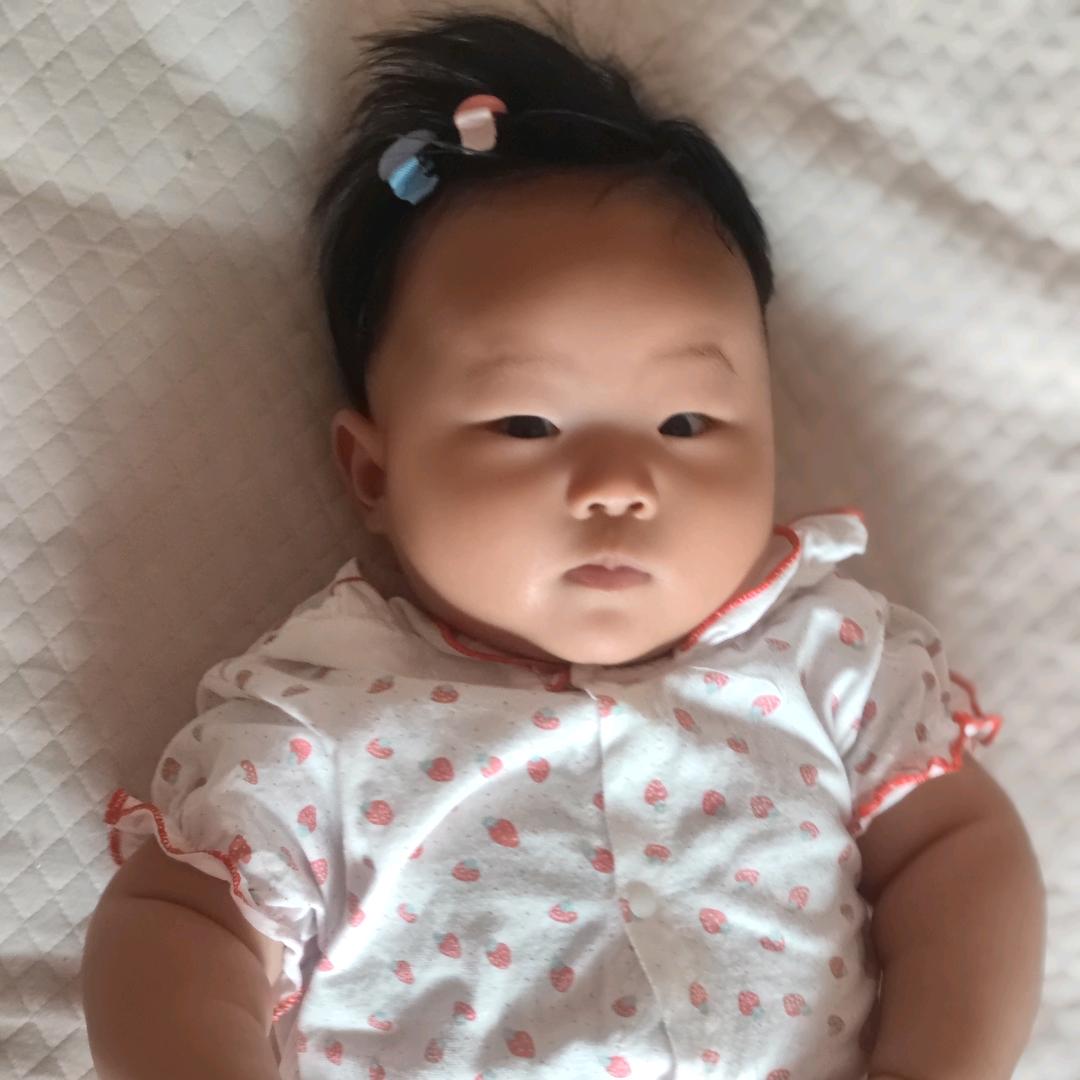 米朵成长记