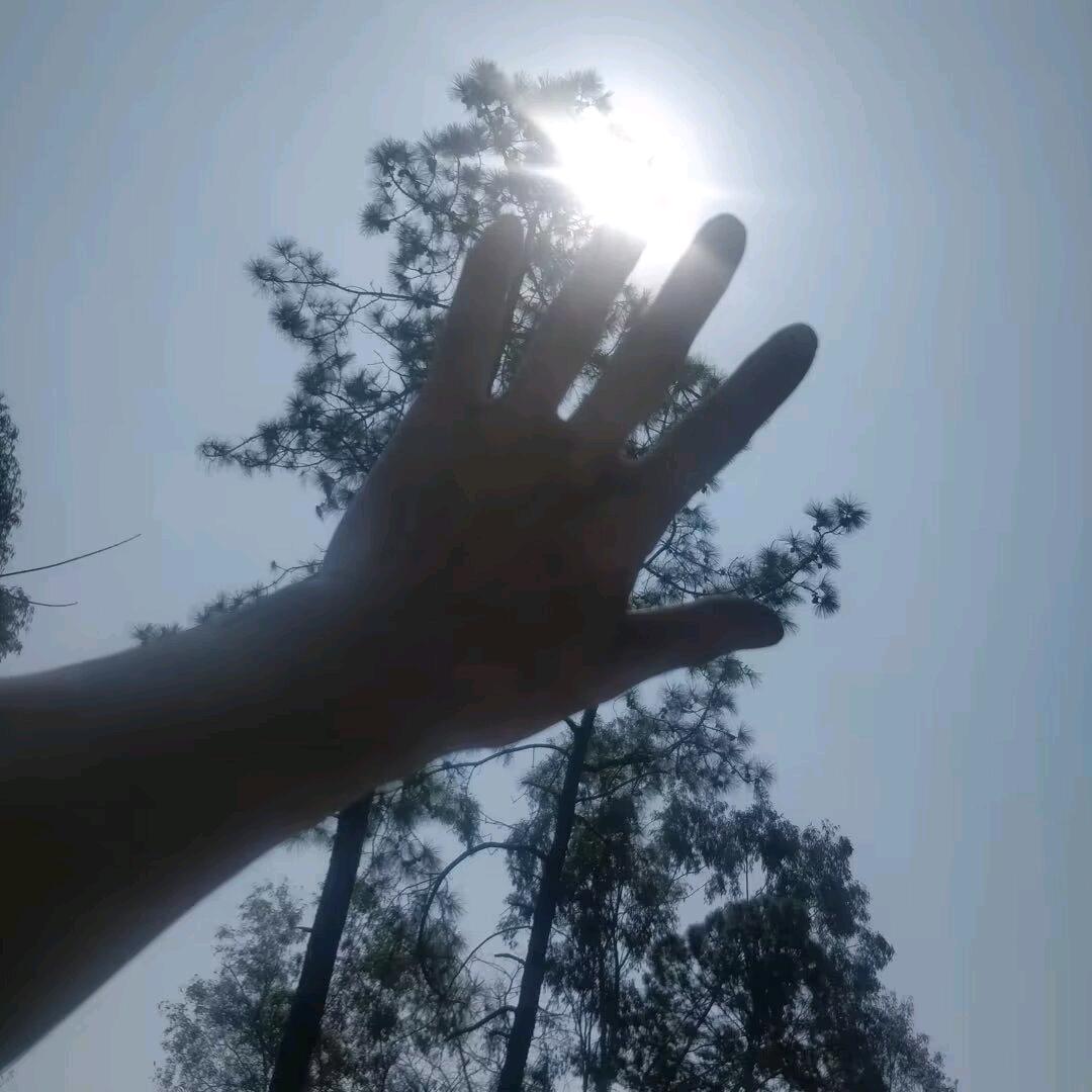 忘情水❤