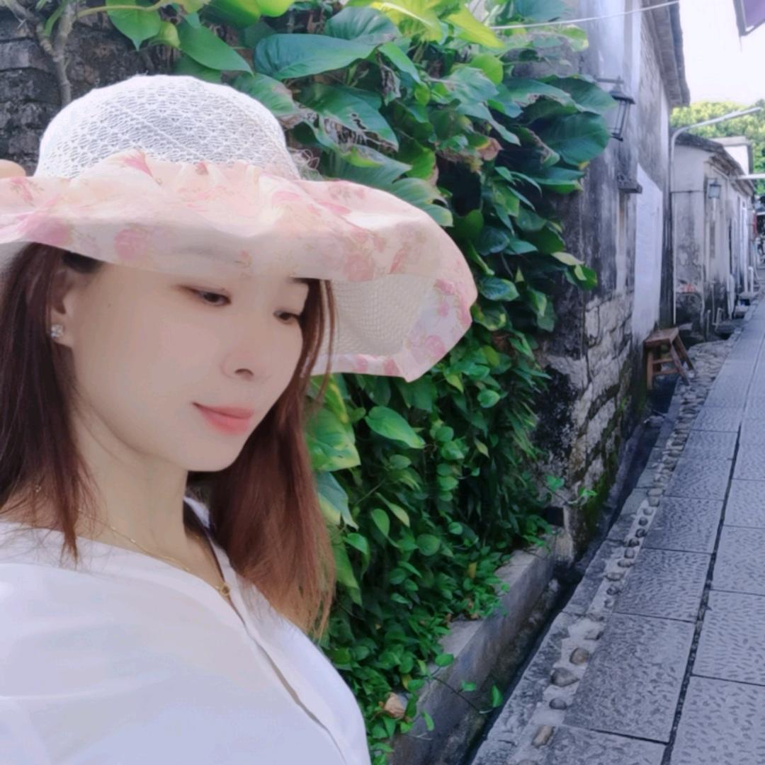 海鸥
