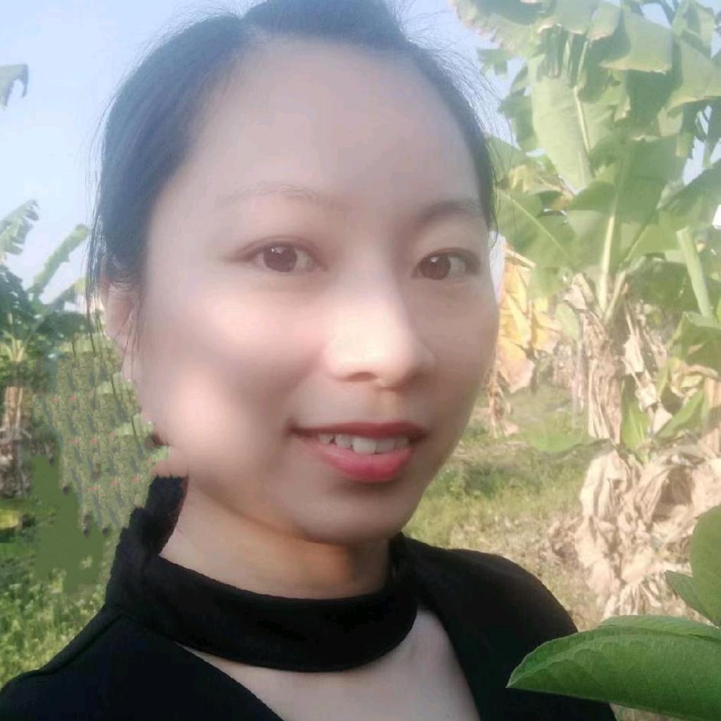 好运来林