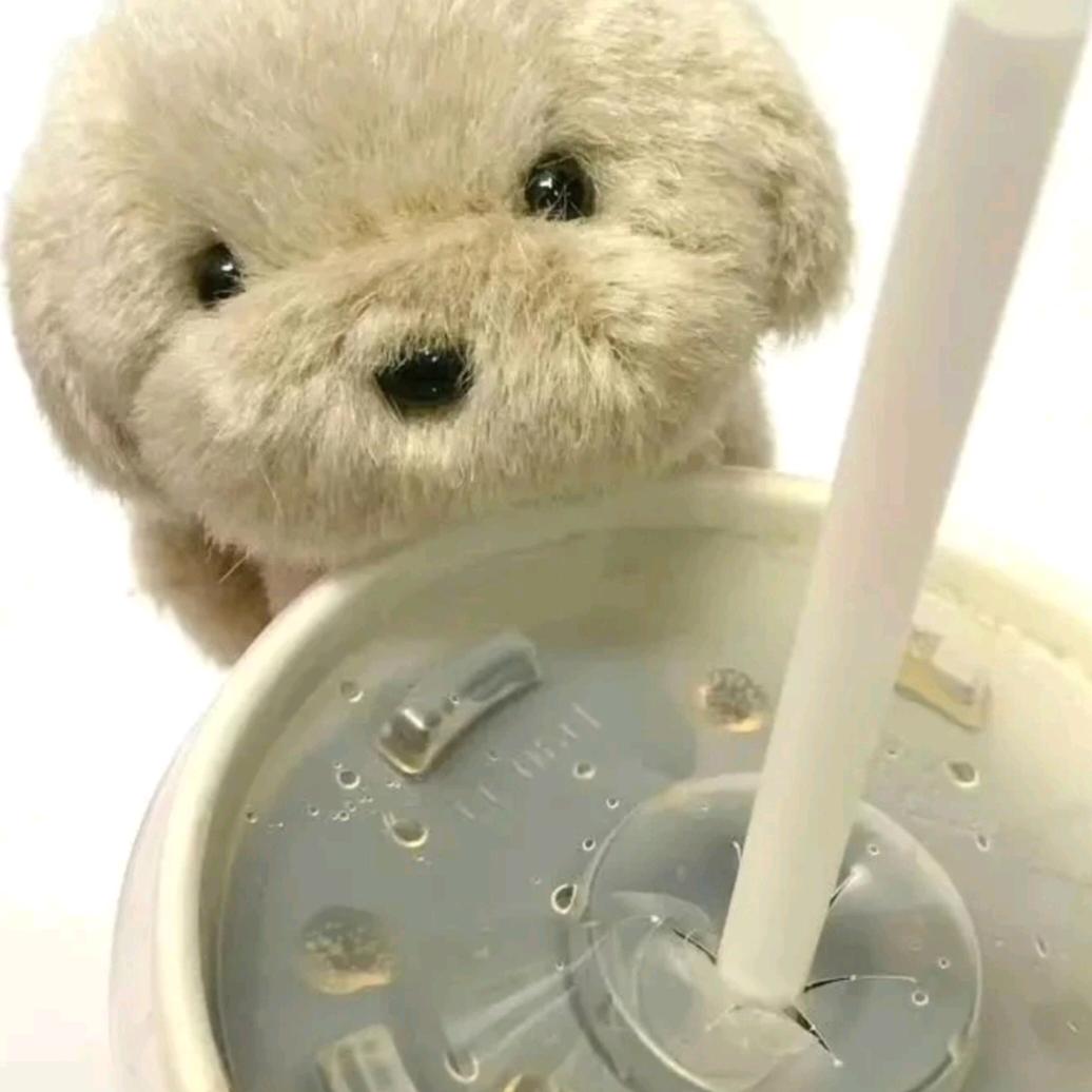 吃不饱的我😰