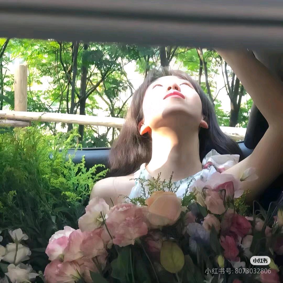 林间葵葵