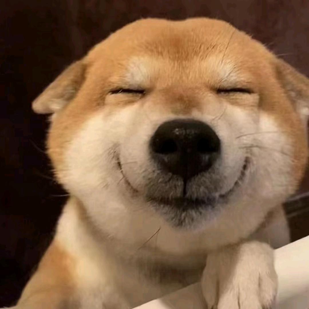 人生如梦