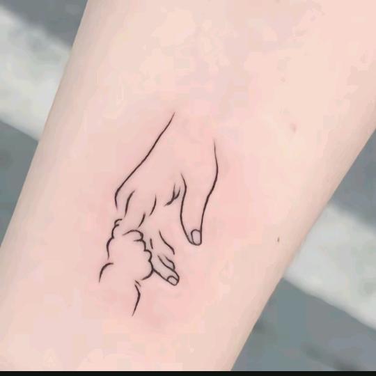 莹莹