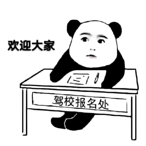 鑫港驾校教练直招