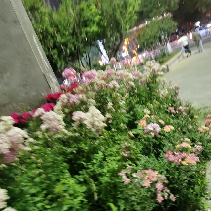 百味鲜小火锅