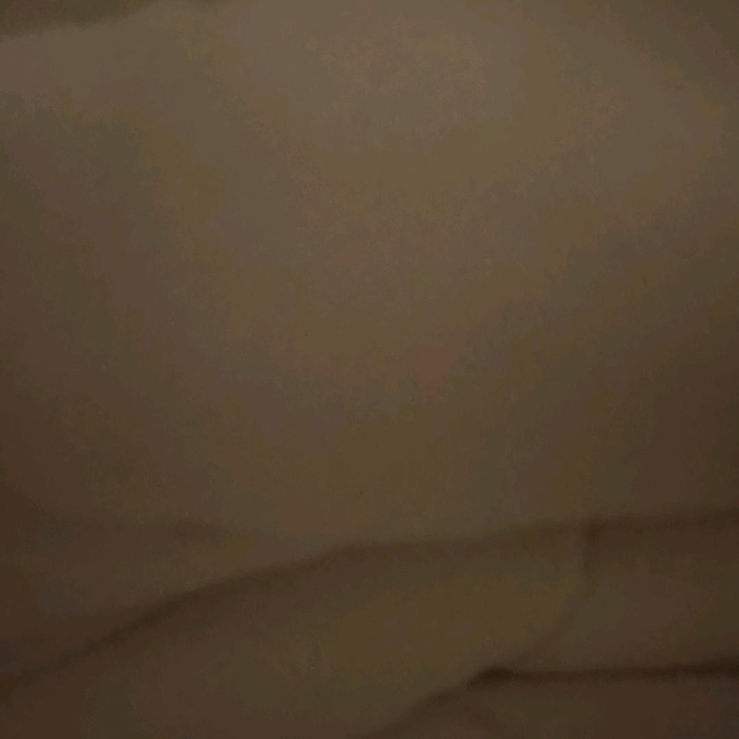 正在输入中。。。。