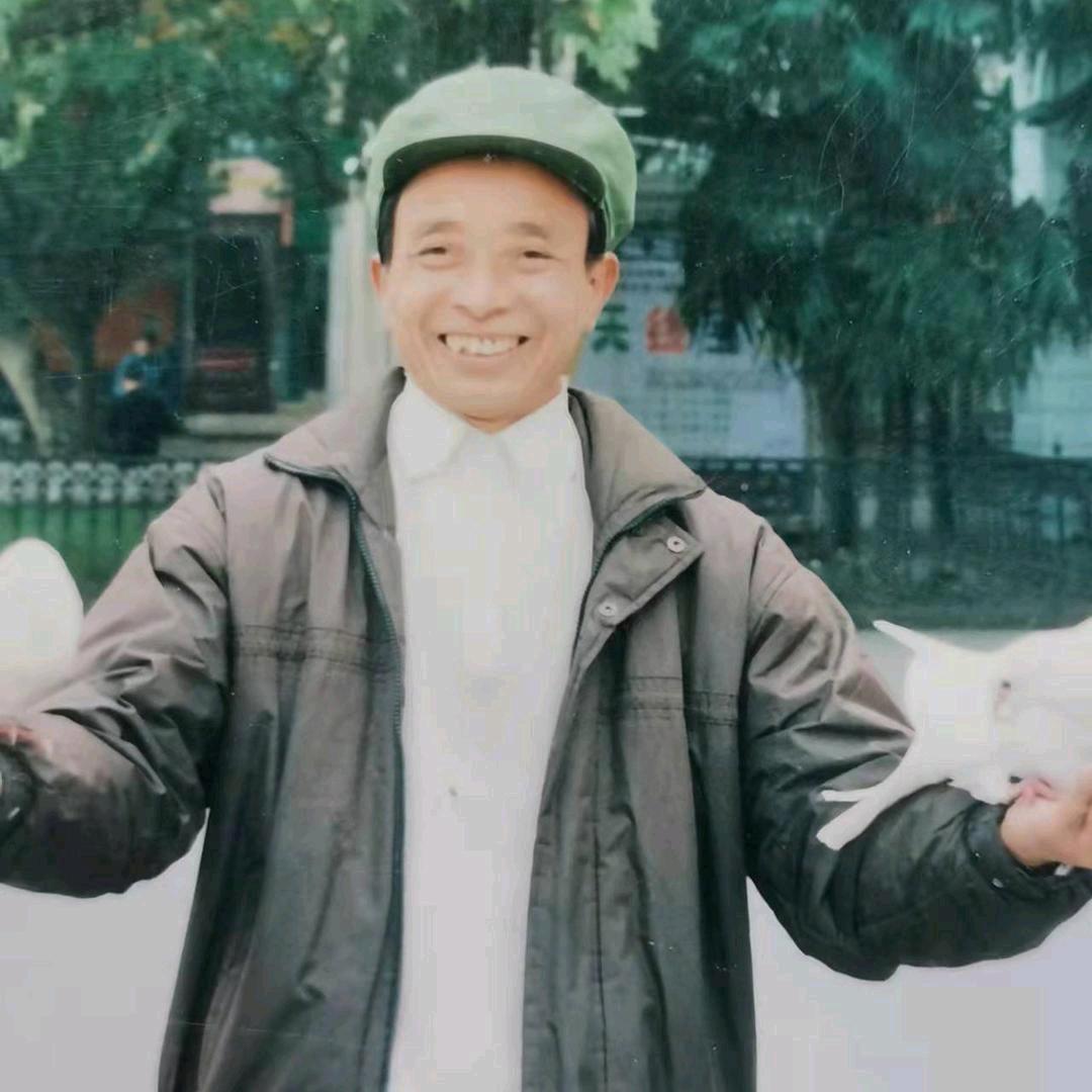 书生
