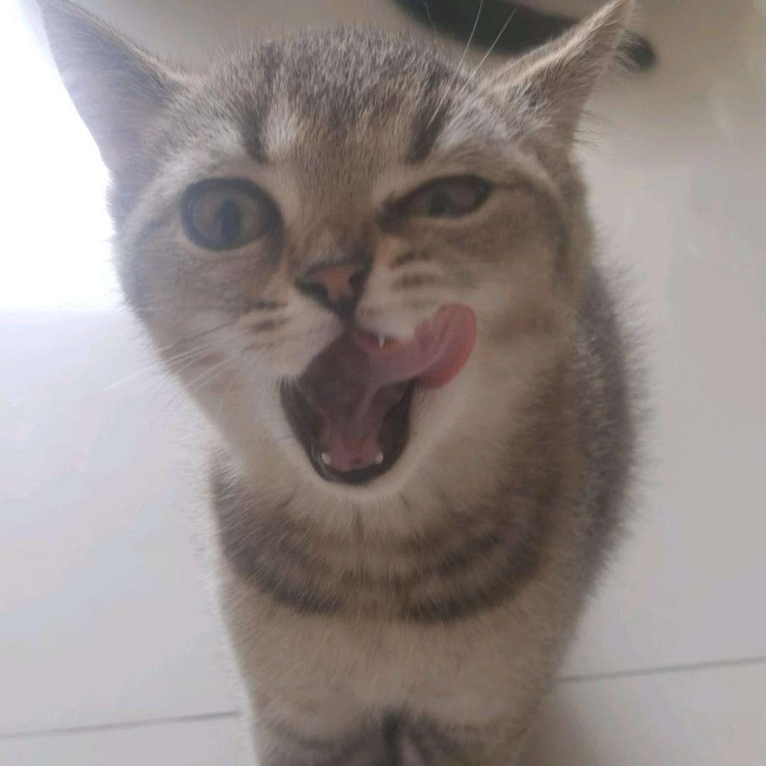 迷恋