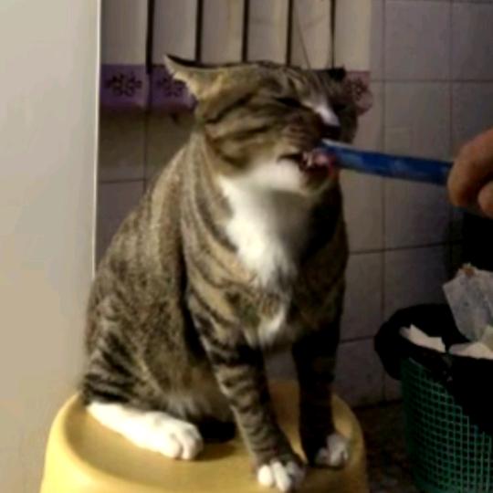 十载清离🐟🐟
