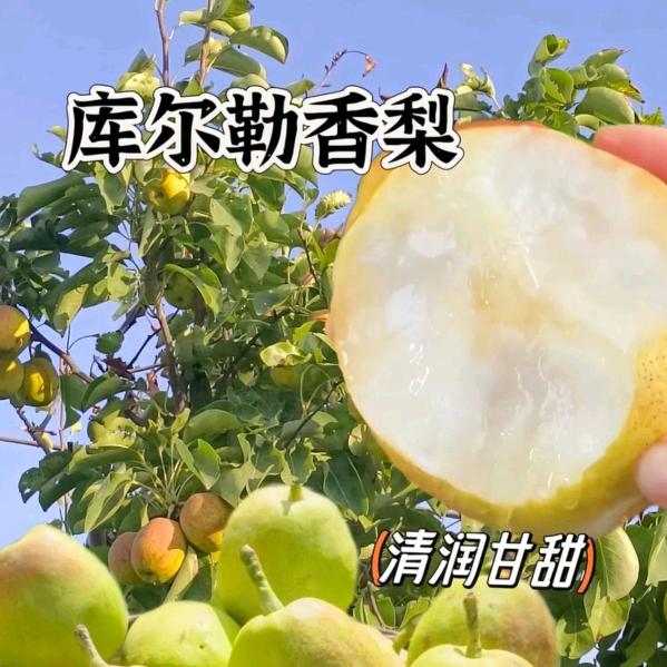 优鲜原萃坊二店