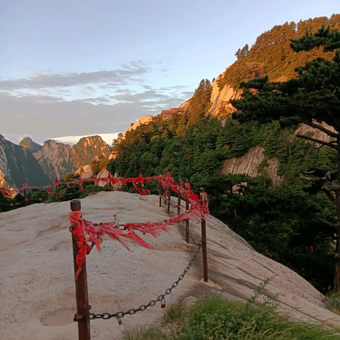 简单大叔