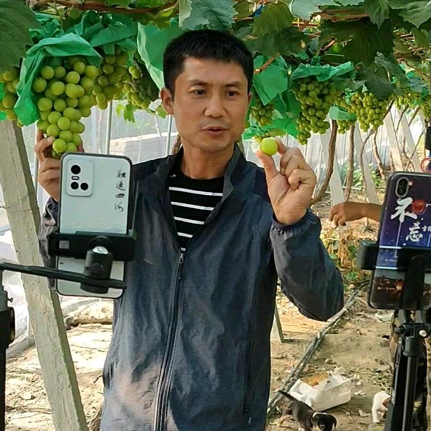 江有财（助农）