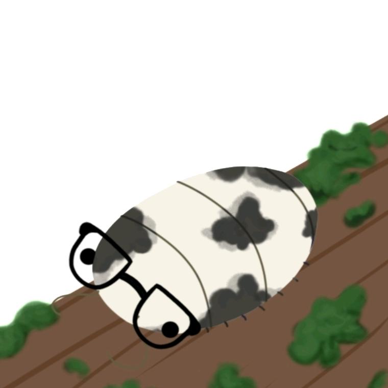 -林黛煜-