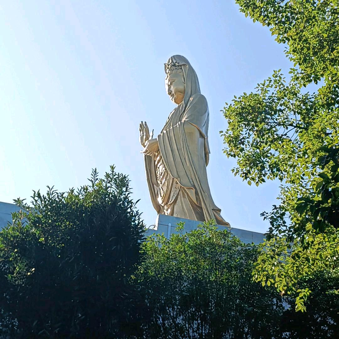 东宫军哥