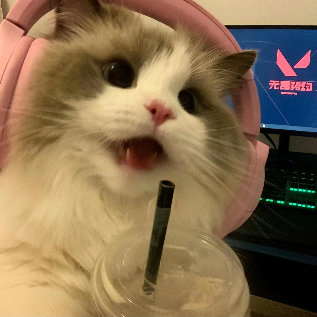 ☄️𝕙ꪮρꫀ࿎࿎