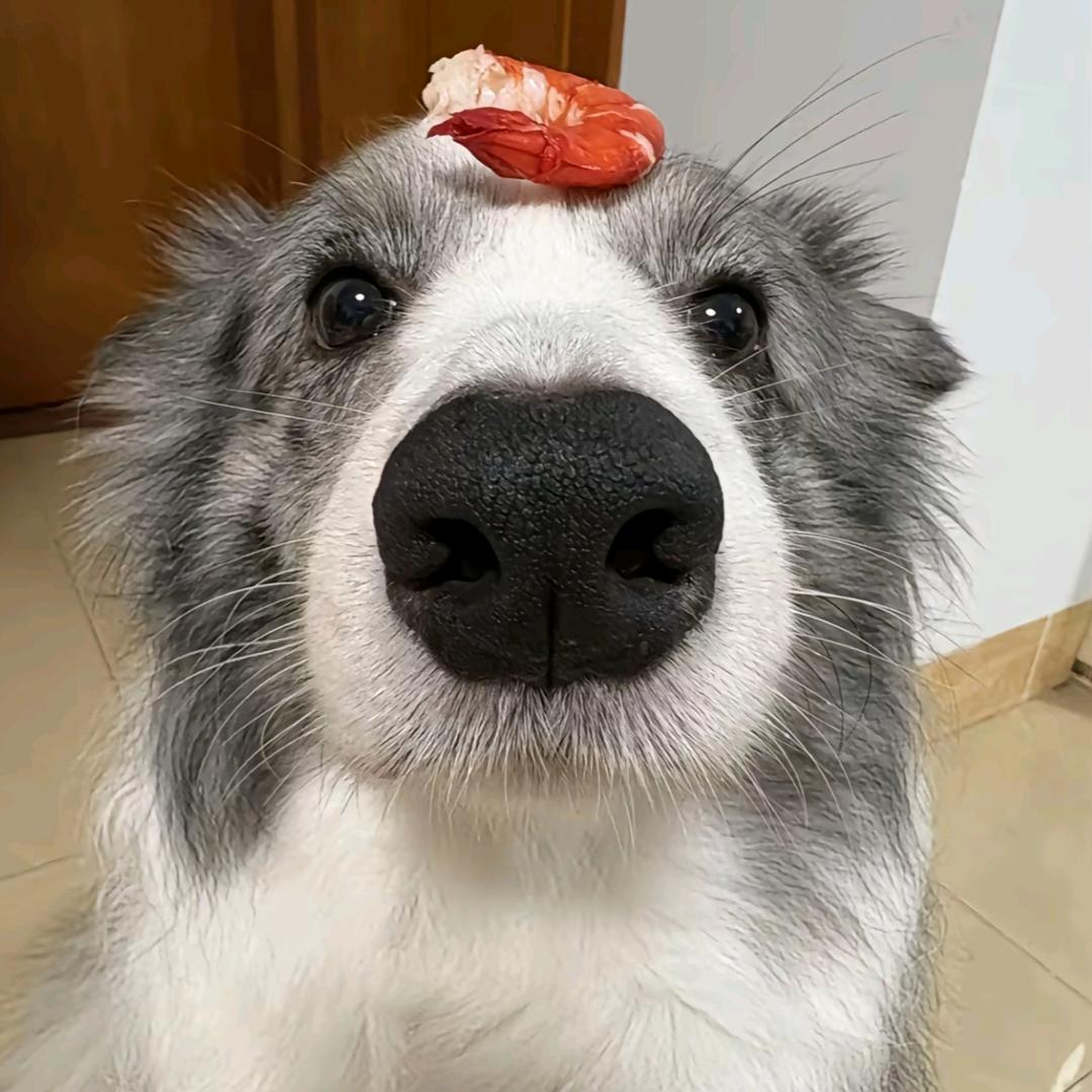 牛奶巧克力