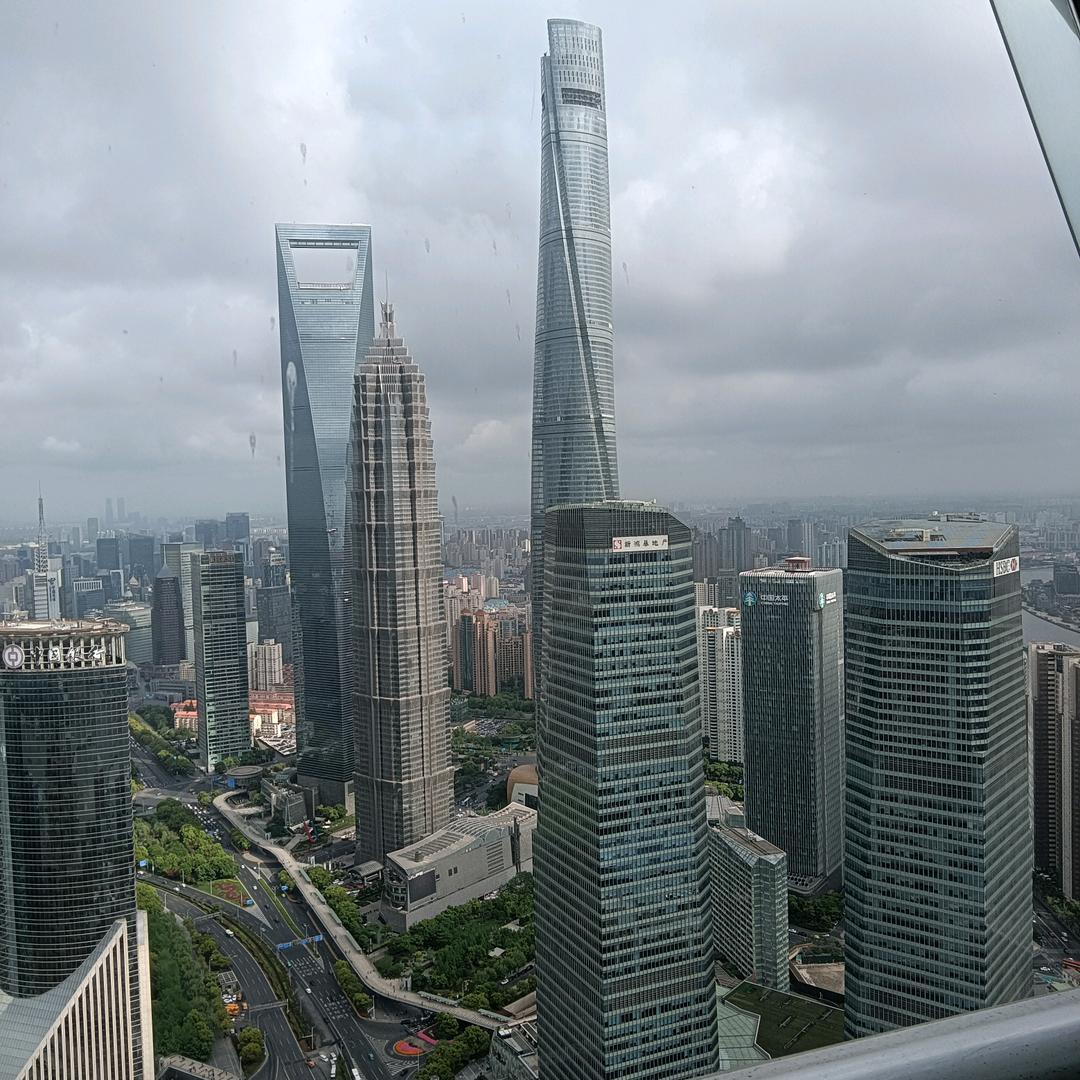 时间的树下