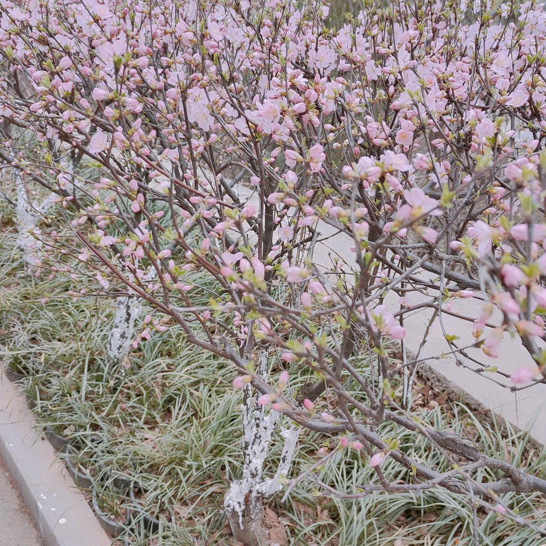 小萌宝