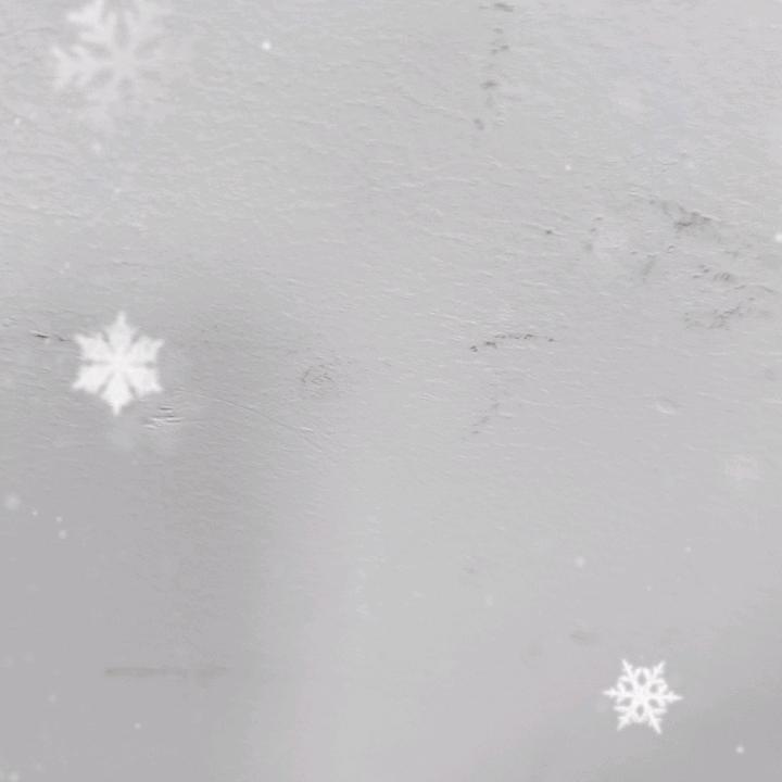 浪迹天涯