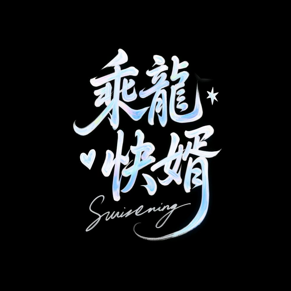 乘龍快婿1.0