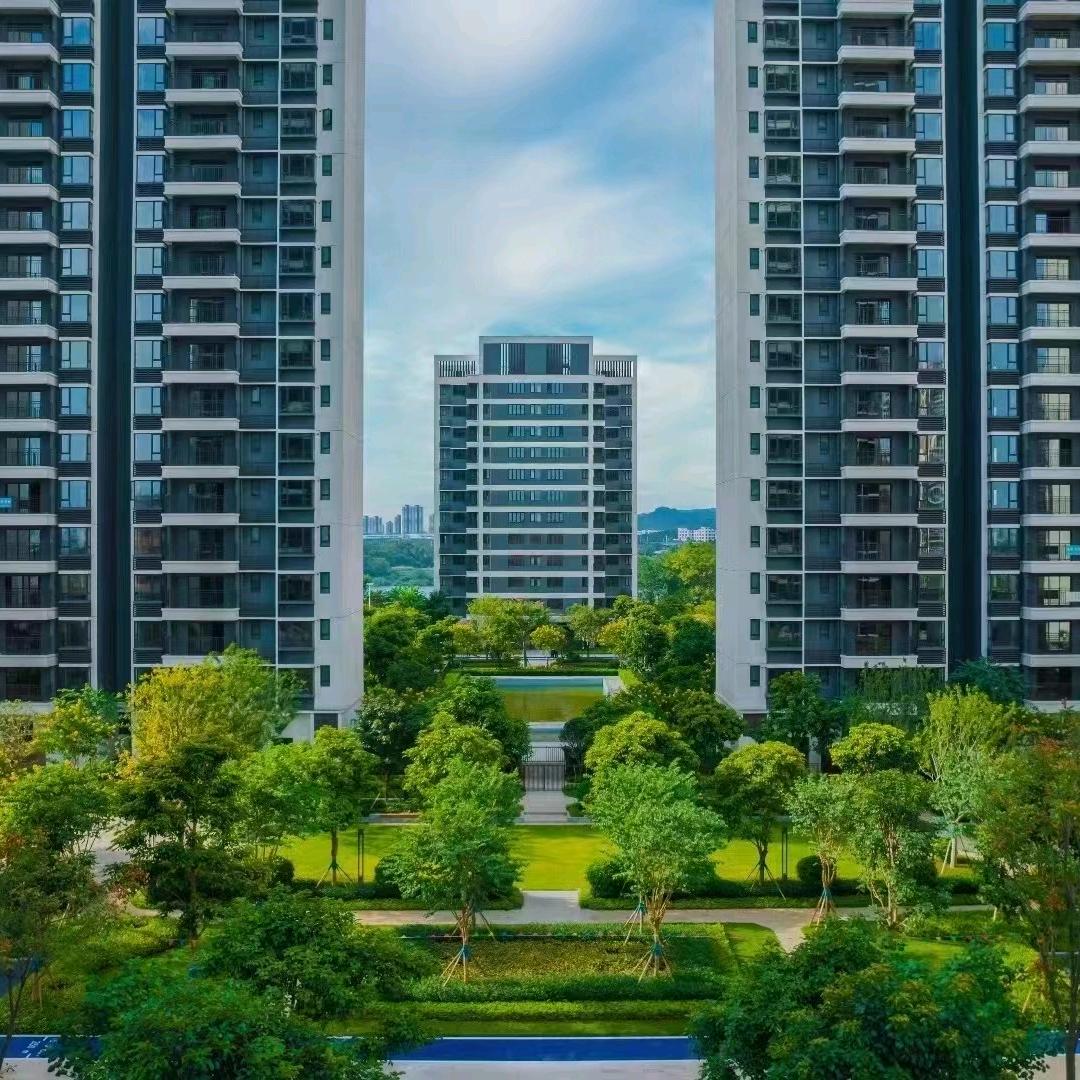 柳州市诚源信息咨询阿凯（6）