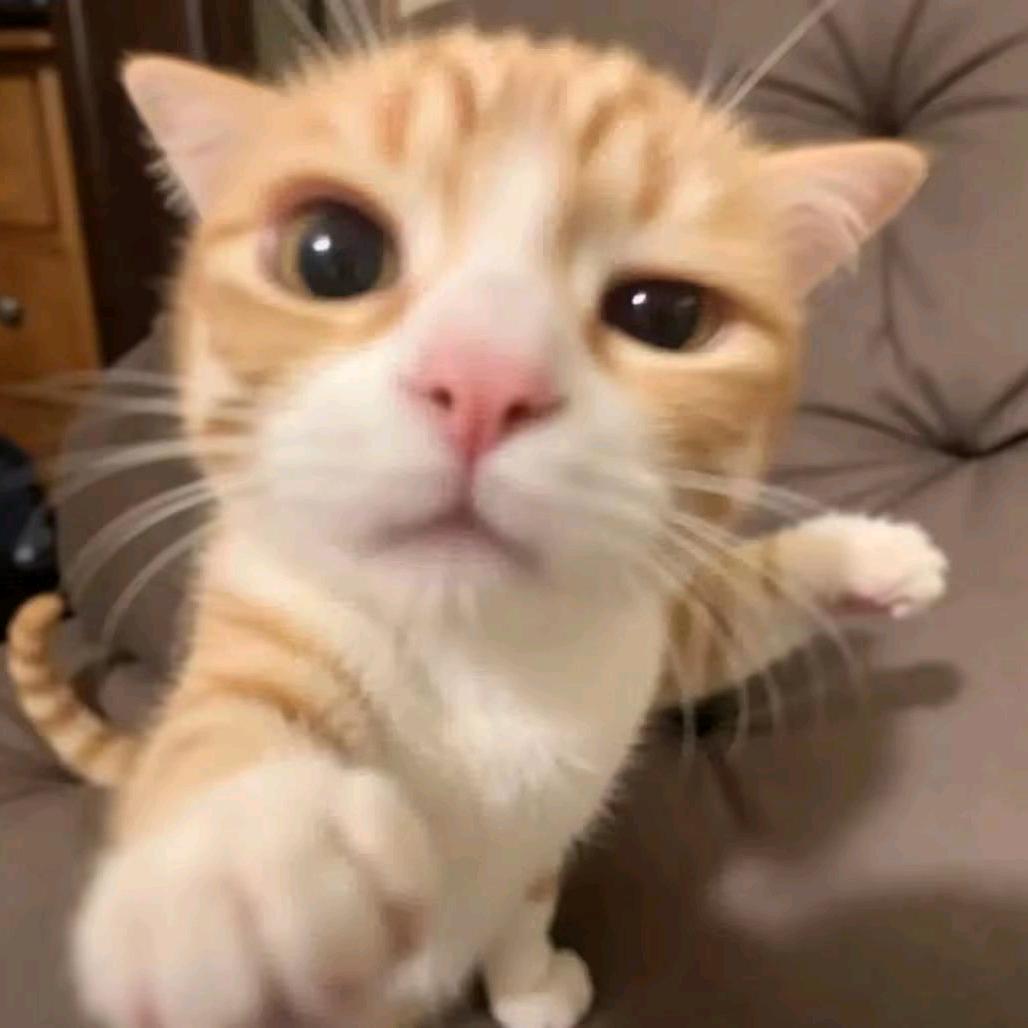 🥰💘