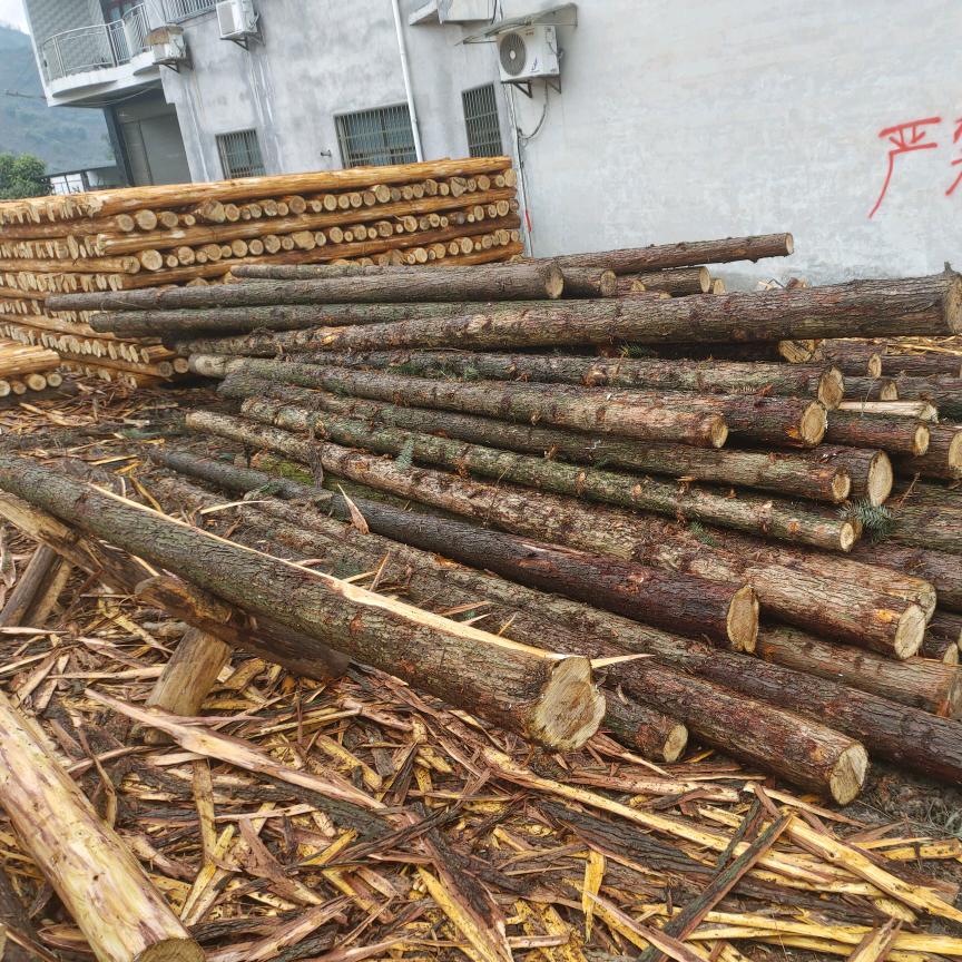 收售(杉木,柳沙,寿木)