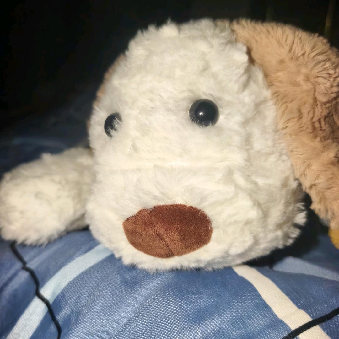 今天想吃螺蛳粉