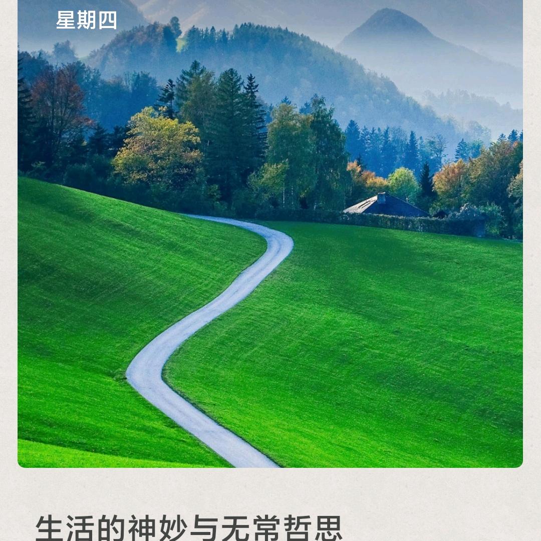 老史好物分享