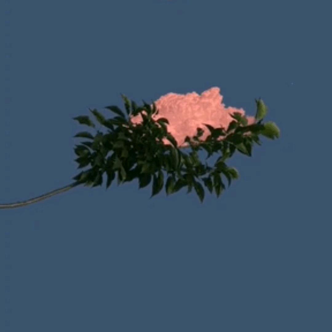 要哥发发发