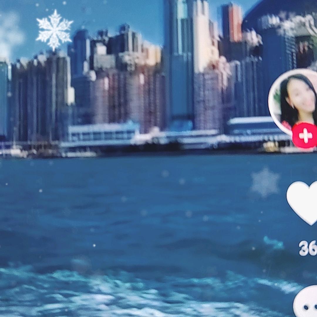 🌹🌹🌹🌹🌹🌹