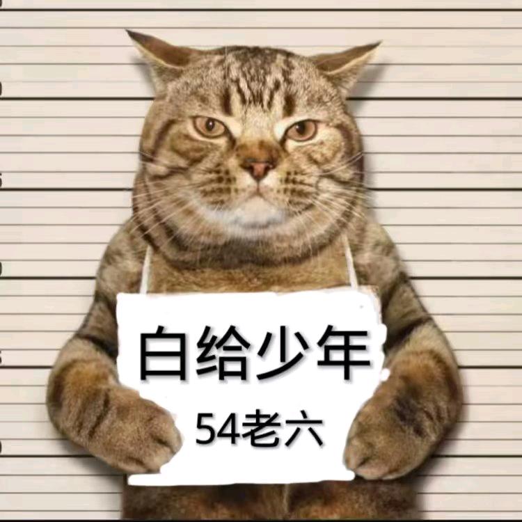 我与陈晨玩三角洲行动