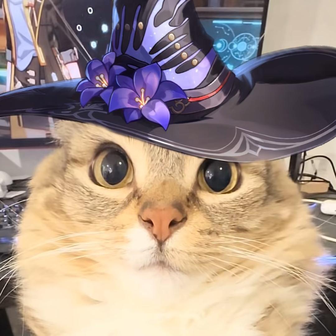 猫桑