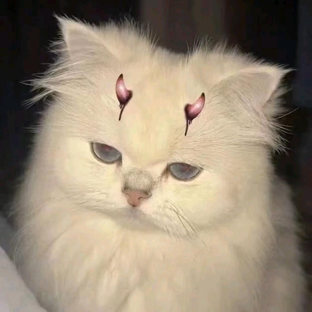 小碗